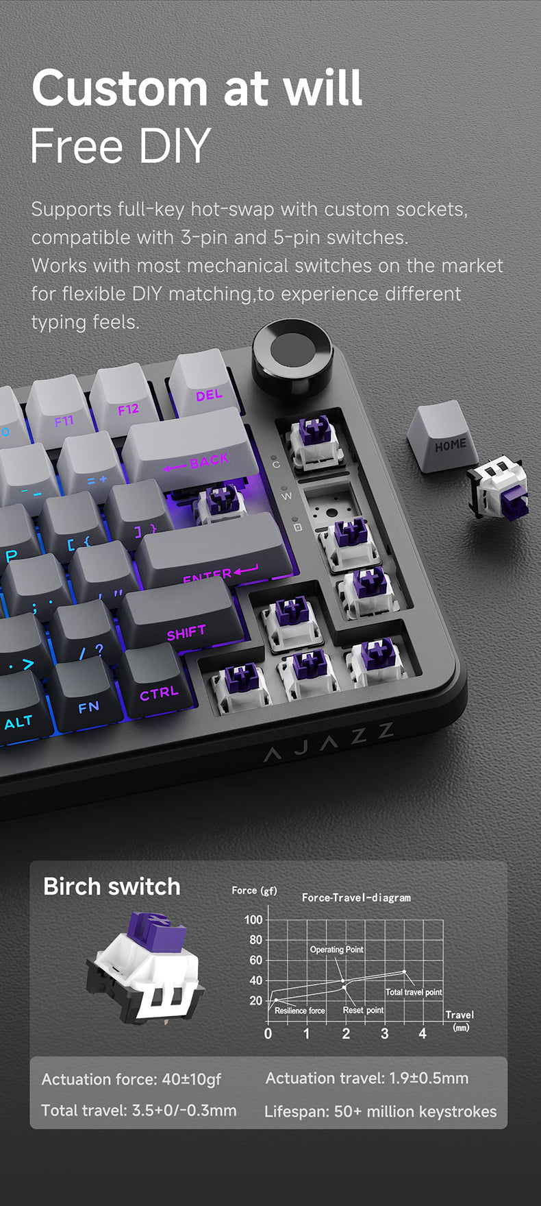 Ajazz AK820 Max Plus - Side-Engraved Gradient Grey - Birch Switch Hot-Swap Detail